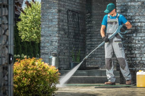 Best Dumpster Area Cleaning  in Grapeland, TX