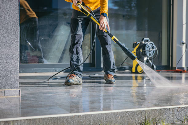 Best Solar Panel Cleaning  in Grapeland, TX