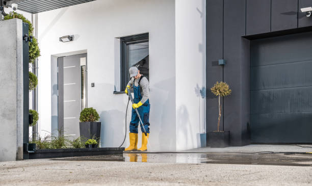 Best Dumpster Area Cleaning  in Grapeland, TX